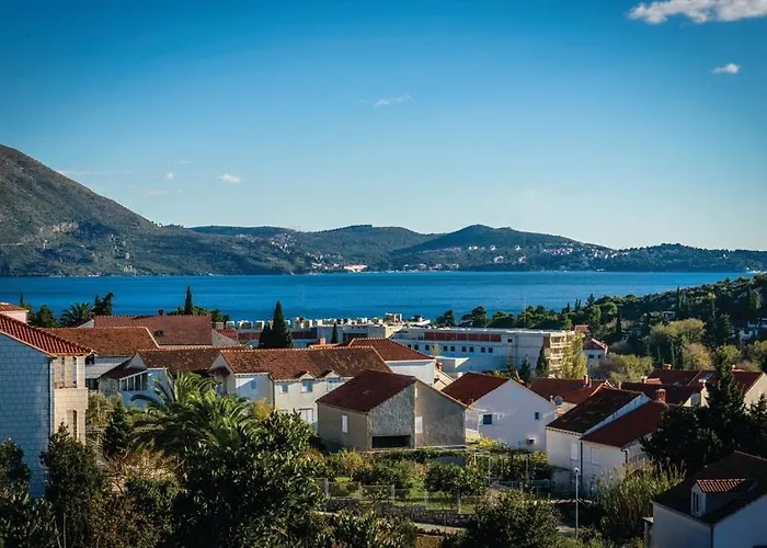 Jelena With Private Parking And A Pool Holiday home